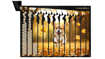 Skarbonka na 5 zł | Skarbonka Piesek