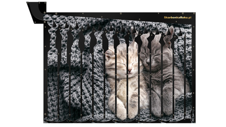 Skarbonka na 5 zł | Skarbonka Kotki