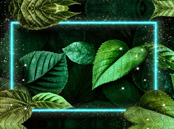 Tło do skarbonki - Zielone liście