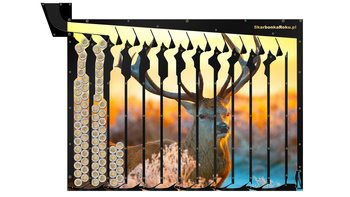 Skarbonka na 5 zł | Skarbonka Jeleń