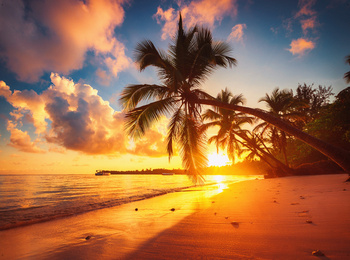 Tło do skarbonki - Wakacyjna