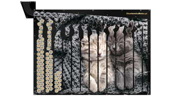 Skarbonka na 5 zł | Skarbonka Kotki