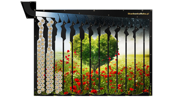 Skarbonka Ścienna Drzewko Serce | Super prezent z sercem